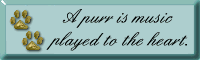 Cat quotes